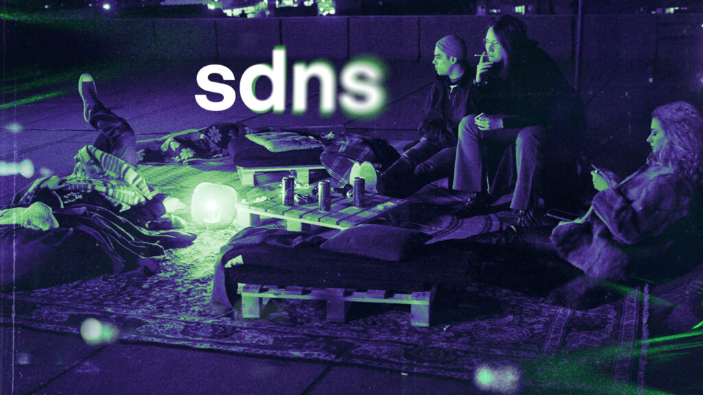 vizual sdns 1